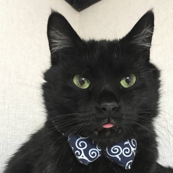 6be2103d de2c 4c46 83e7 3479df40cf9c 1552478988103