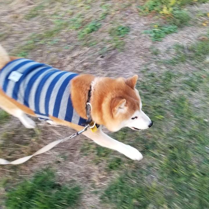 6be288f0 f200 44f4 843d 19a76c587dcc 1637132968904