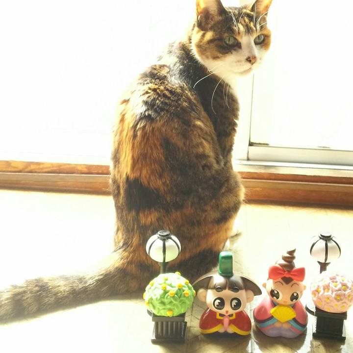 6be29f3f b667 4e3c 9780 fbbe3c6d72b6 1520076841270