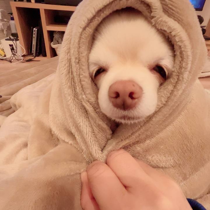 6be2b5f1 31c8 49ec 8aab 8adf181b0266 1733832558528