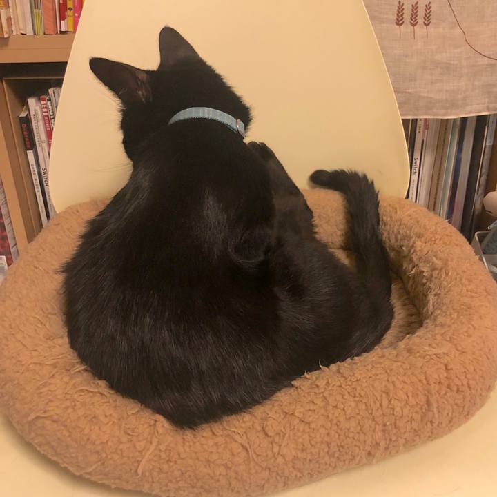 6be2b6da 9b8c 44cd a6d8 12a667b3364d 1562766547759