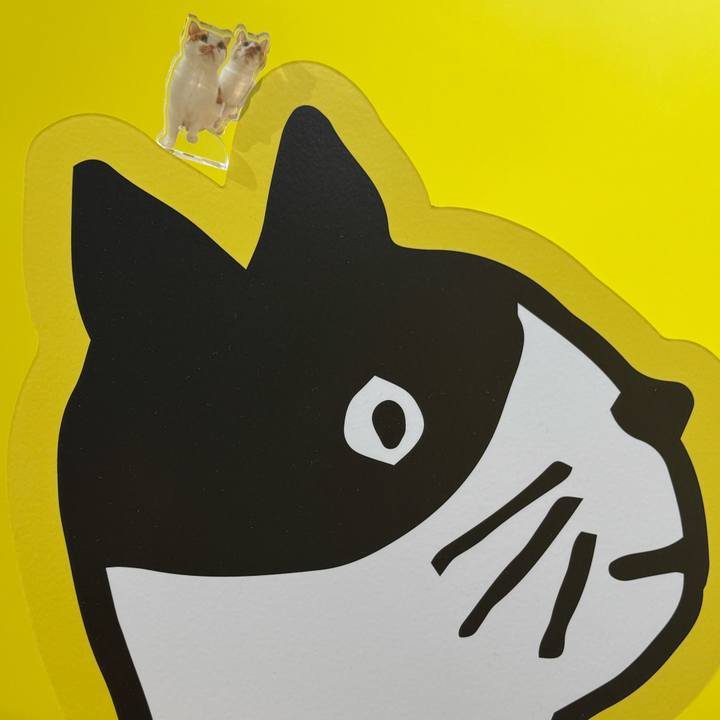 6be2c887 8ce1 4912 a743 3dfbbcdc1dd7 1761898918882