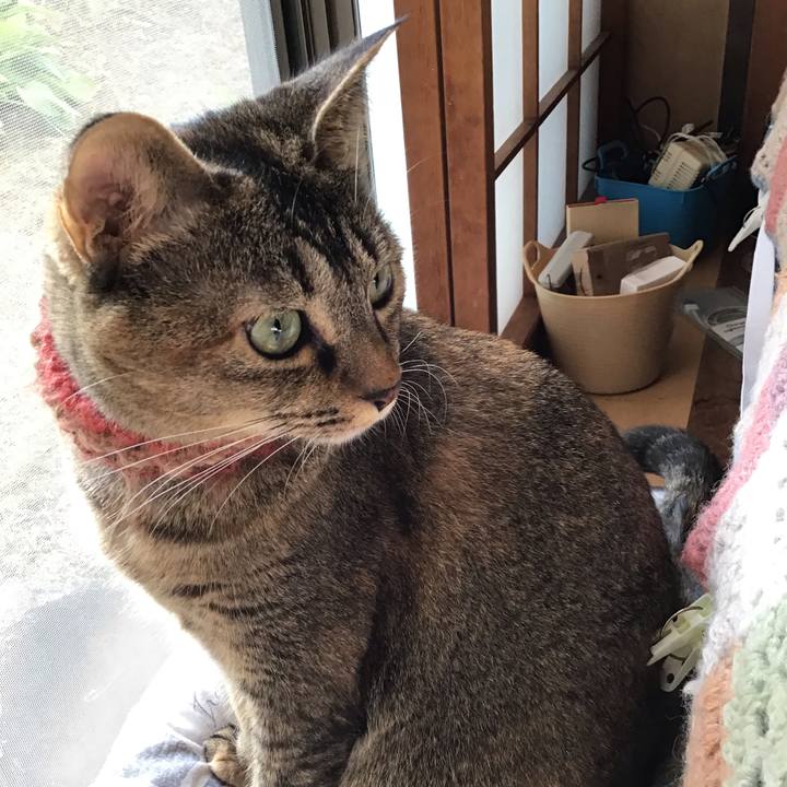 6be2fb01 0bb5 4201 80c7 ce9b4d34282d 1633905382422