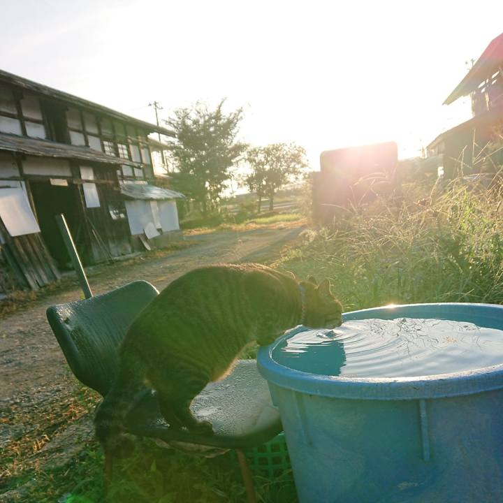 6be31a9b a26f 46cc 83a1 a5968f6bf2e6 1662420141124