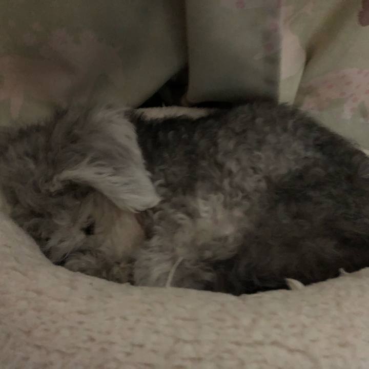 6be34568 123c 4394 a242 87896da5b55c 1603498500762