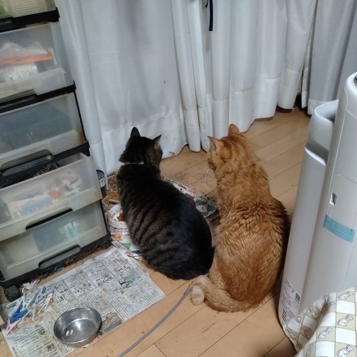 6be355b1 c854 4328 a63c 2b49671a0b48 1701330115755