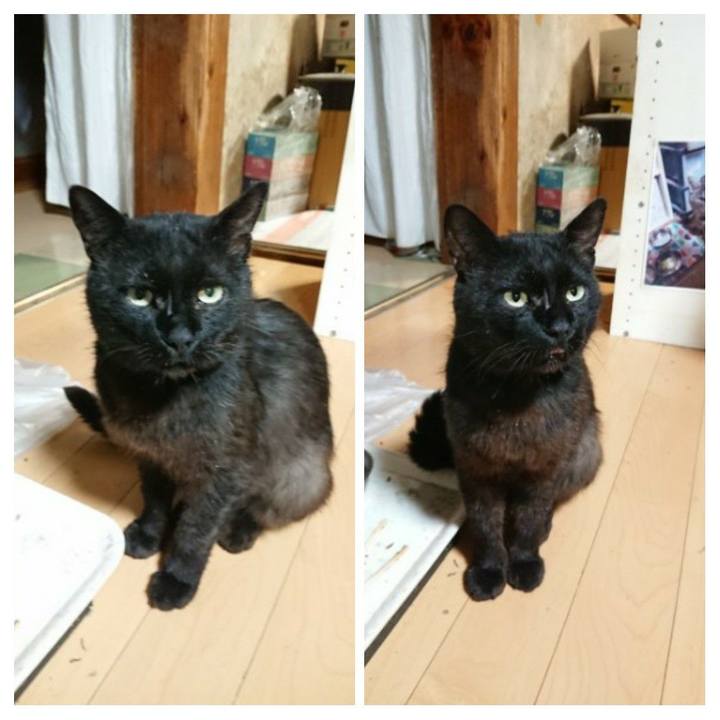 6be39d5e f1f0 4a40 99a2 6a221457612b 1624360392174