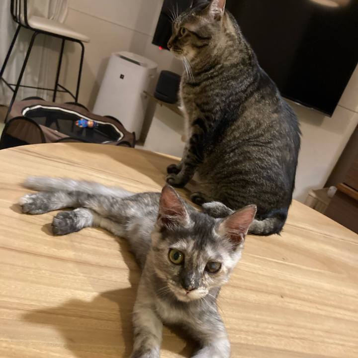 6be3b989 731f 4dd3 a21d 4363b8442723 1694611140755