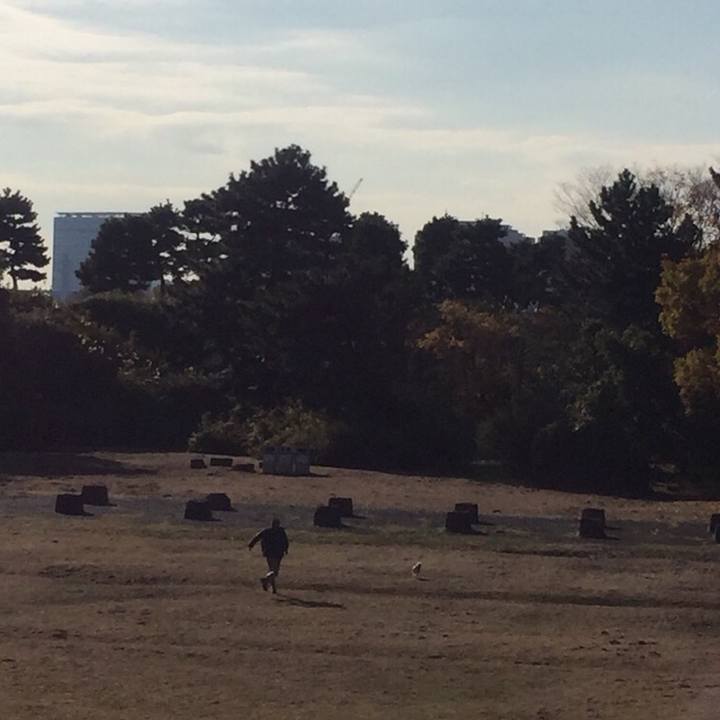 6be3c5fe c4e8 41c1 b65b 476686b03286 1512285682206