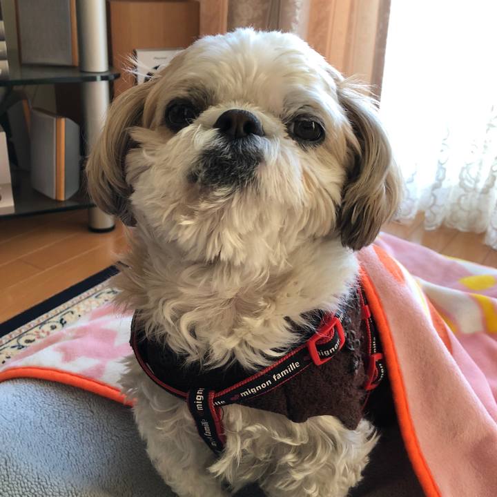 6be3c639 389b 44b5 8d18 76d40ceb436e 1550268878640