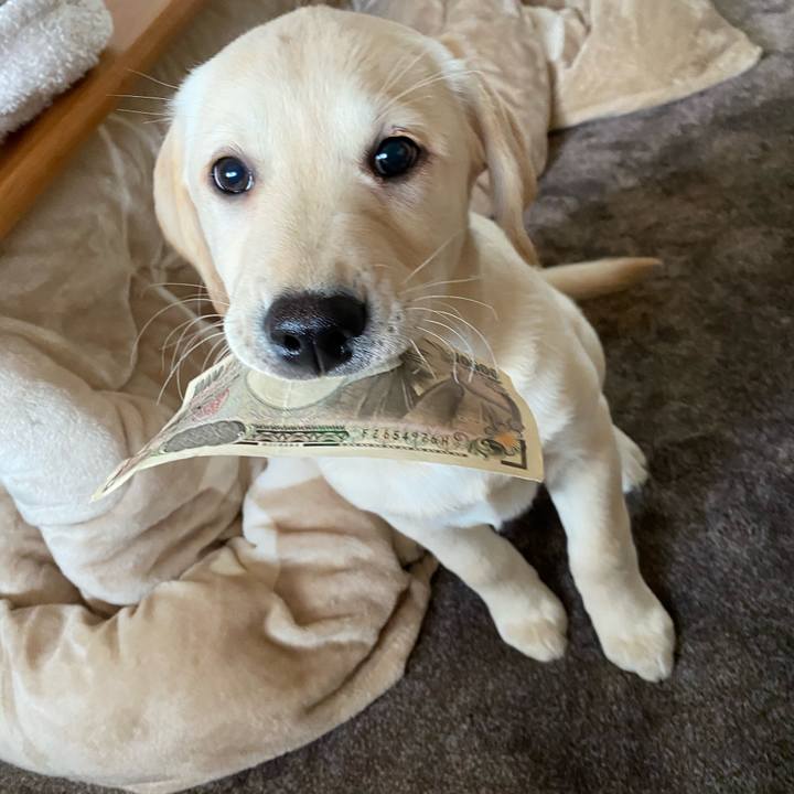 6be3eb0a a77a 4bb4 aa79 d0fe45822cb2 1612955454350