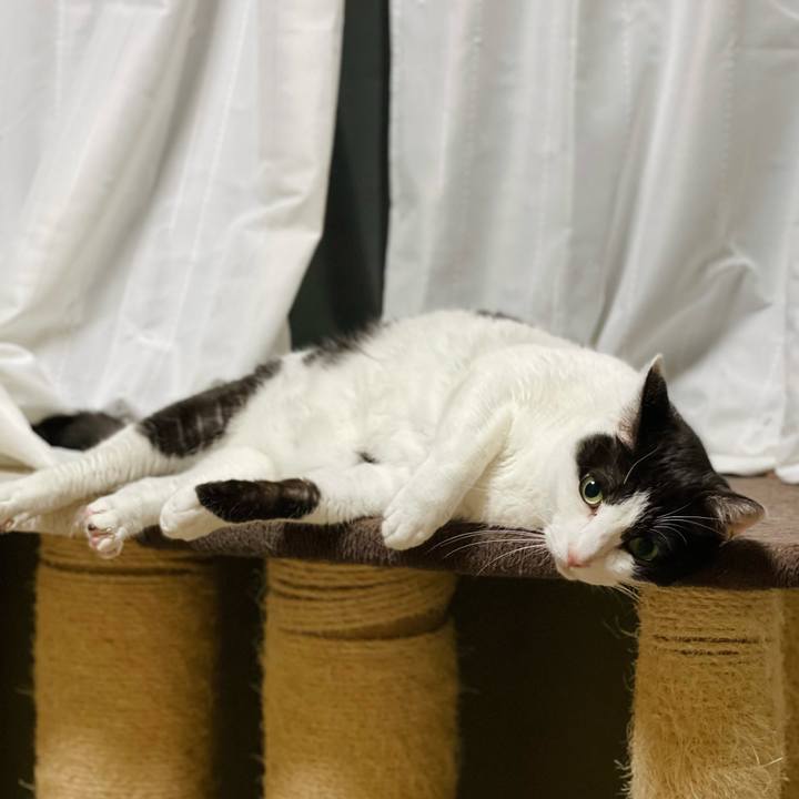 6be40304 9a39 46ad 9ace 13623319a5fe 1648691347980