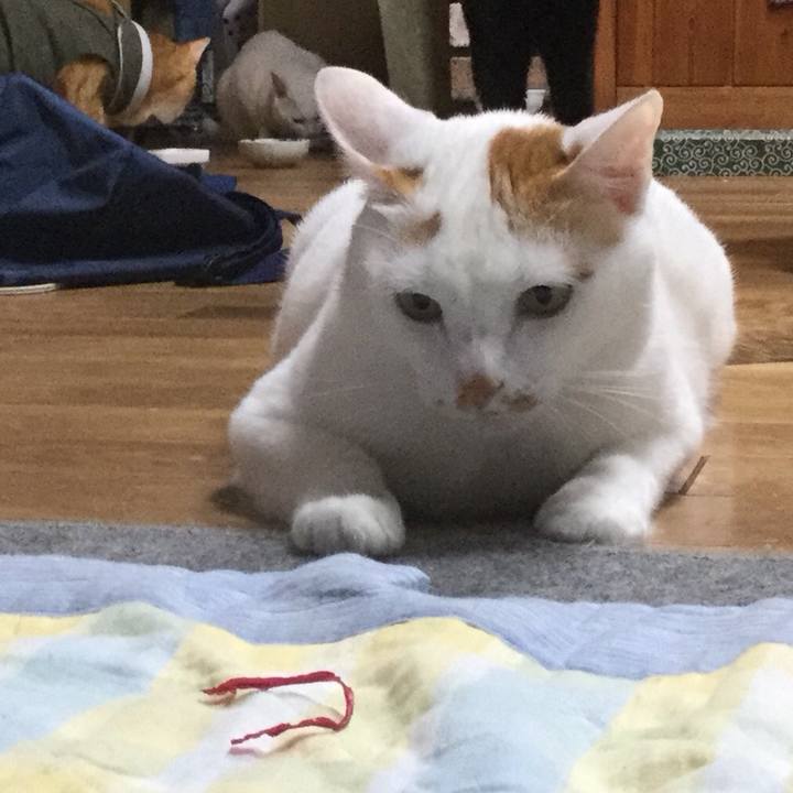 6be41039 8f71 4d35 bd96 104ad130c8d8 1535529237104