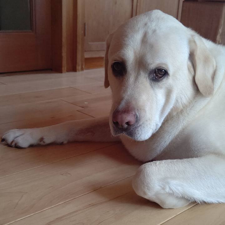 6be42760 0017 4ceb bde4 cbbf45e20d28 1658371415493