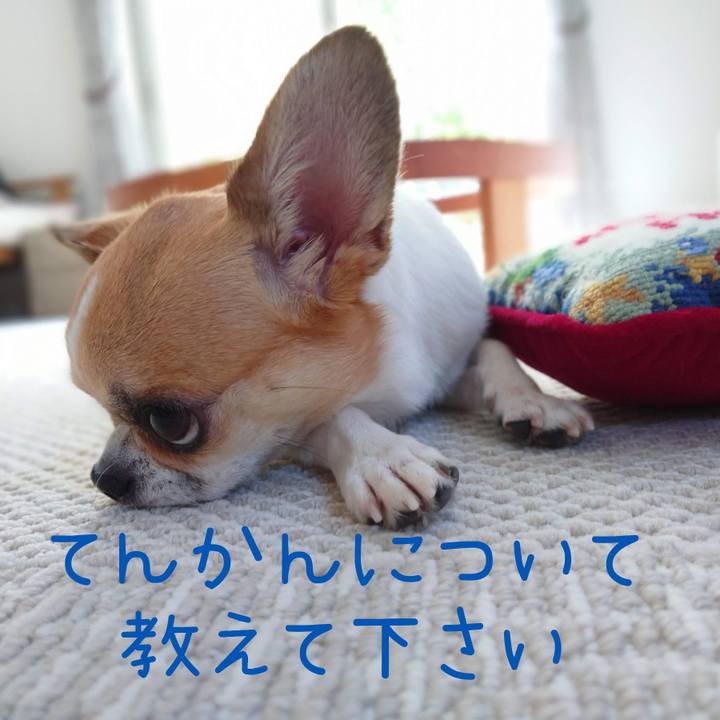 6be48c84 fcf0 4f8a ba18 deb1cf8d9216 1662368455341