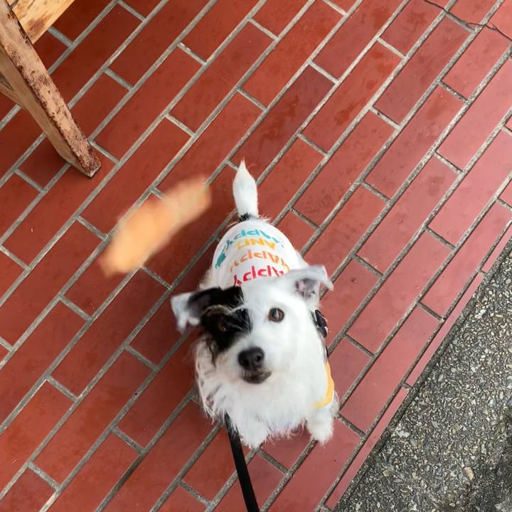 6be48d7c b92c 4a81 bc7e 39bf146c743c 1702691715853