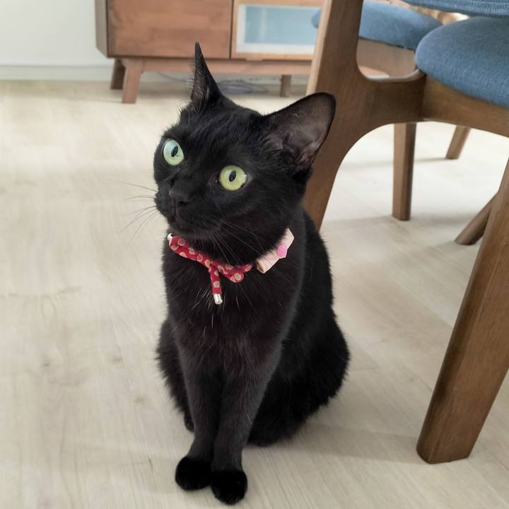 6be49f34 1226 4326 960b 59d70cc84d45 1687818315205