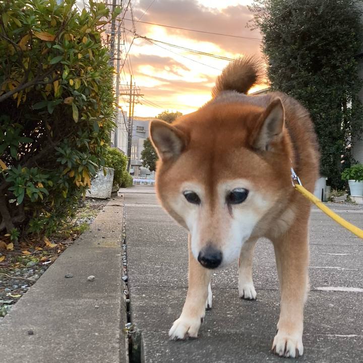 6be4a563 70ae 4352 88d5 637b76cb1cfc 1640244972704