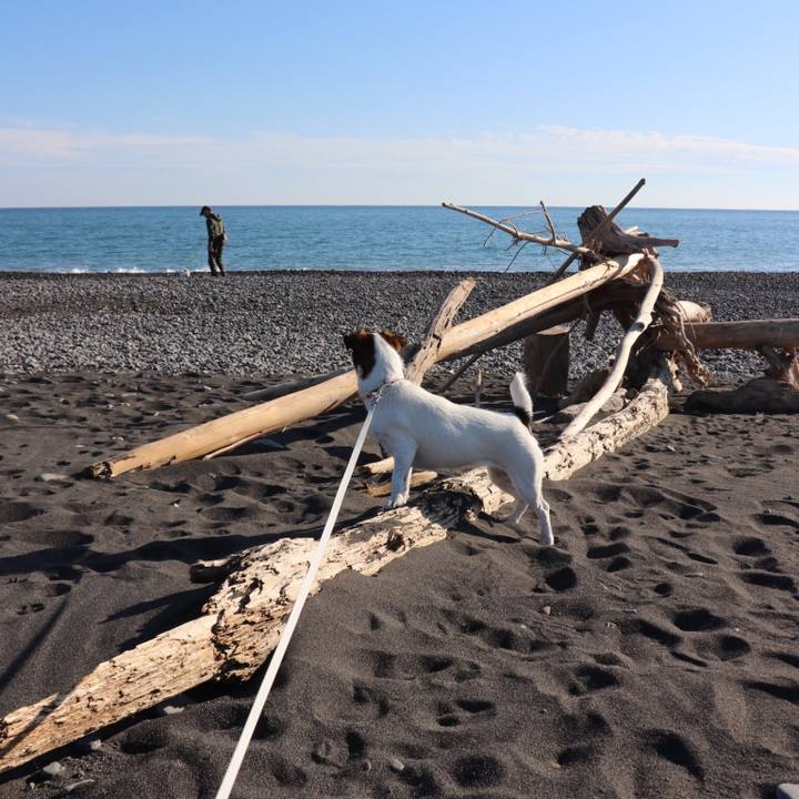 6be4e88d 6d47 4827 bc28 9965f0b4f701 1542435651385