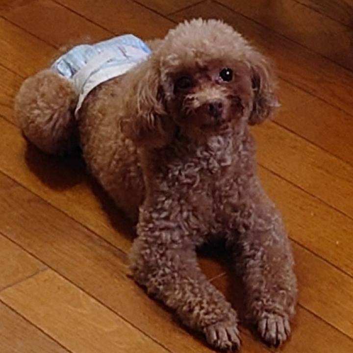 6be51da6 90e8 4019 a8b5 66fab76c8ebb 1754900075670