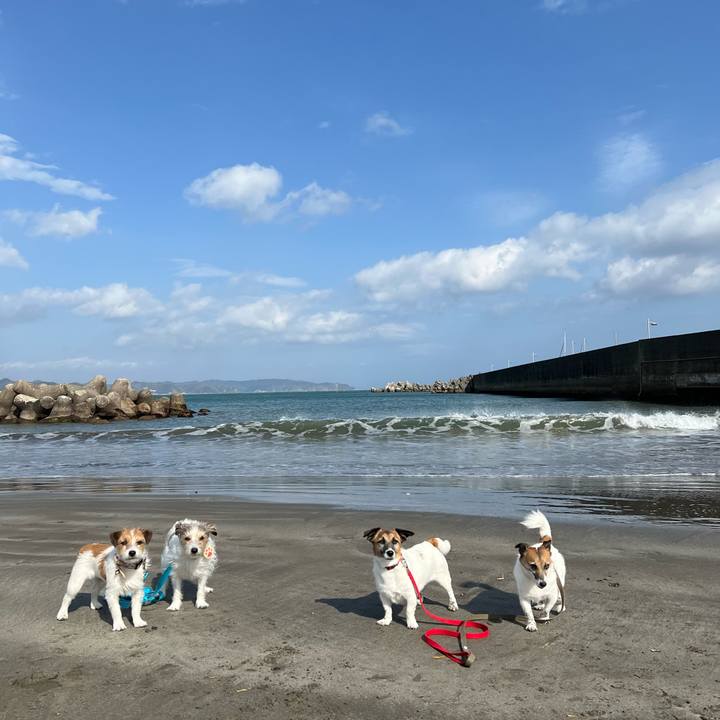 6be529ae 2ea7 4806 accc 7057e537fb96 1710767360017