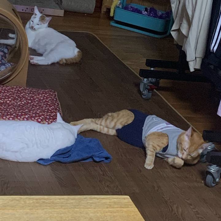 6be54961 f0cd 4585 85e7 eb19d5baa1aa 1617204217142