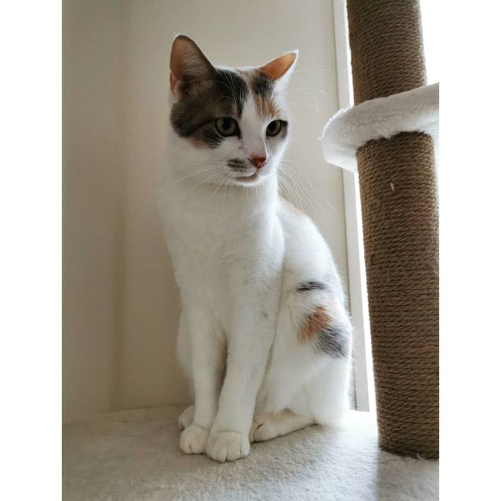 6be57f51 08f7 4835 afd1 f6710760b5e6 1641184456767