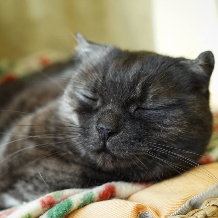 6be5a7f3 13cd 4a4b 8618 d27c8342ed60 1584890617358