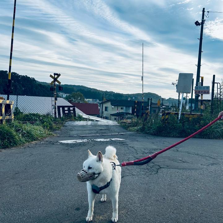 6be61f0d 1051 4853 9c64 8bb4104a14c1 1728945488402