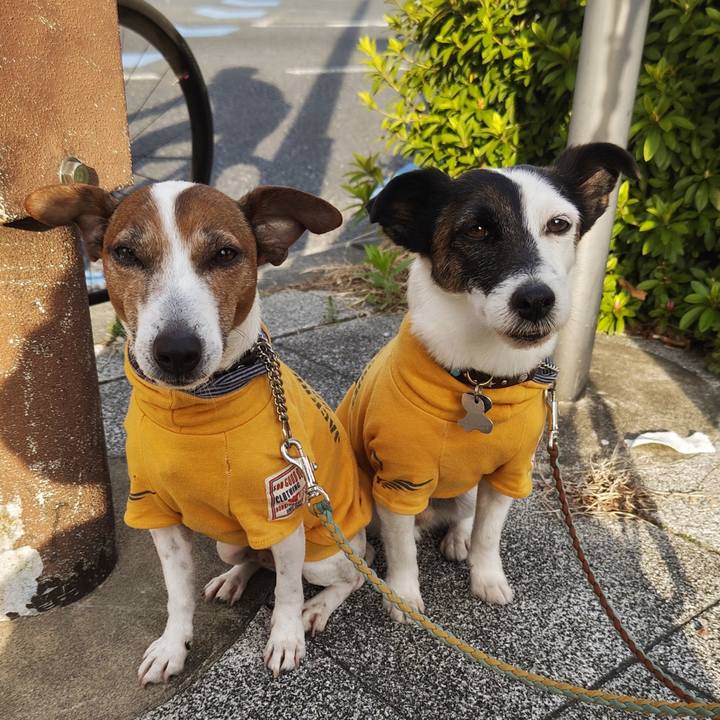 6be65717 e051 4dee b8e3 2a094496b5c3 1744062893274