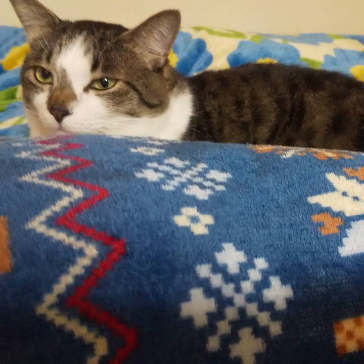 6be66024 d774 4a8b 901a 516f4c3a1295 1666351135765