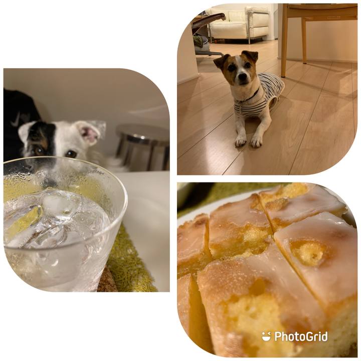 6be660f4 3aae 4dbd bb8e c0dc4cd65316 1603019809589