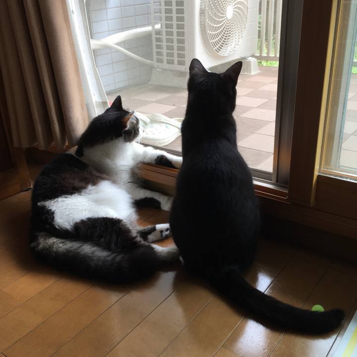 6be6f59a 5f69 4a1a a162 c054ba3b404f 1563857516845