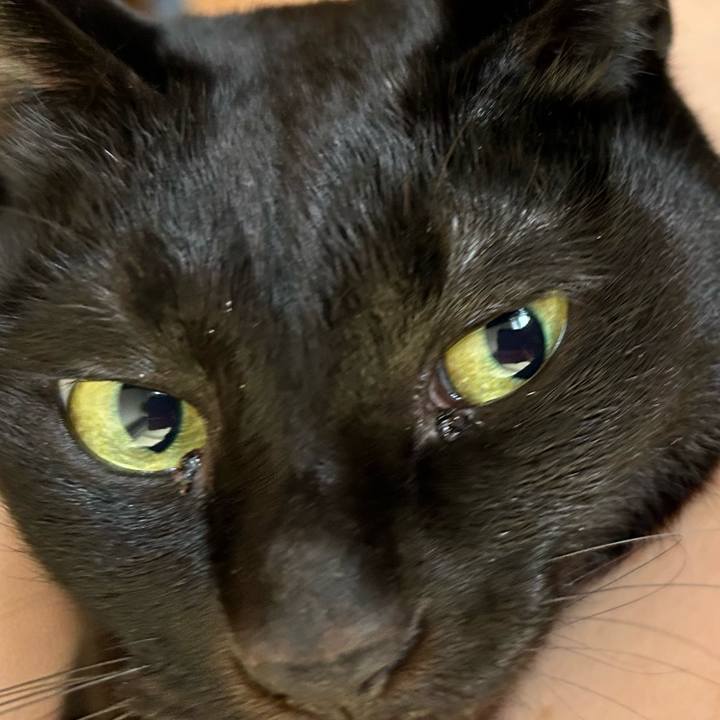 6be6f5ea a2ec 4faf b2aa 57936cb5787e 1757721917699