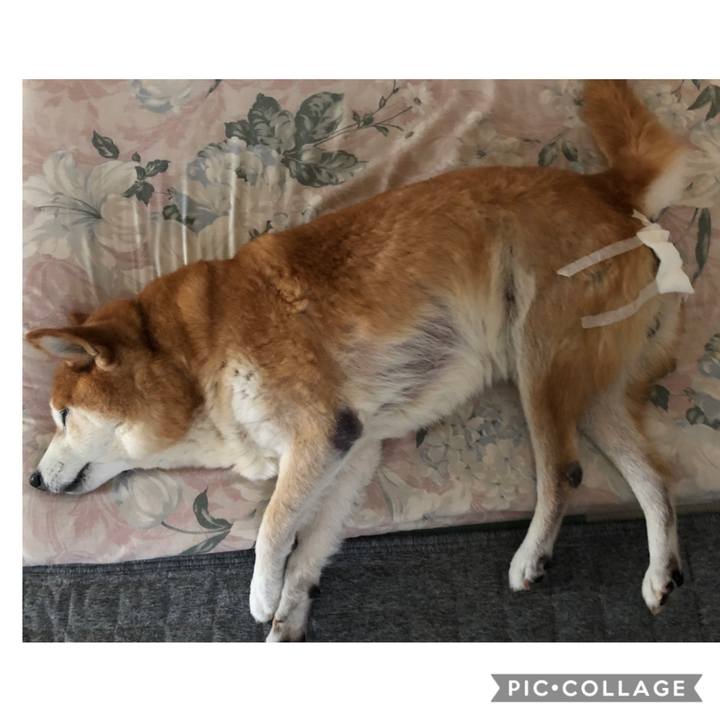 6be73505 89a3 4ab0 81a1 7e5338c72c83 1601515112376