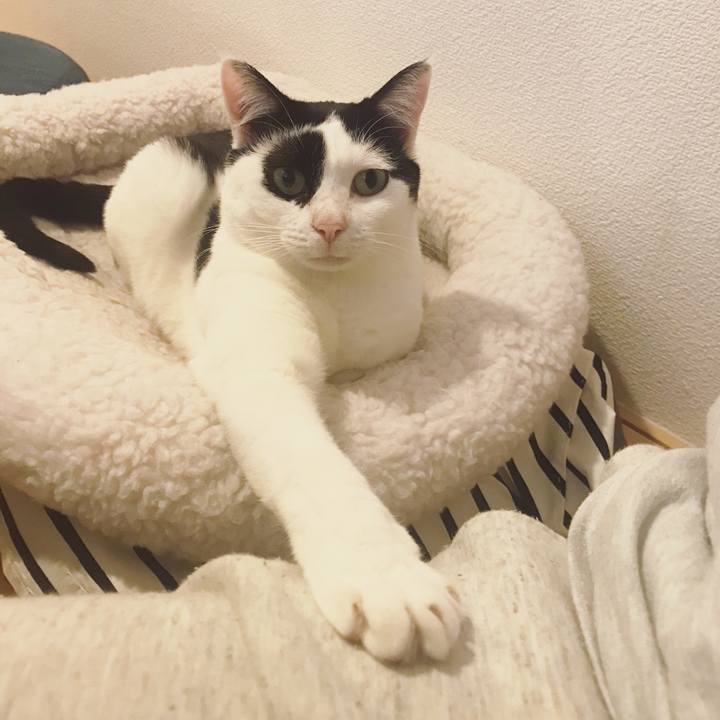 6be73a8b 07b5 4165 a8b1 3428ccefd3f1 1556887944193