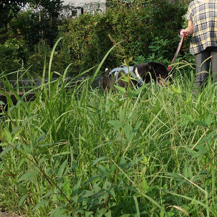 6be7466a 8d02 4f7c ba9d ae9ade2b4d45 1725668203352