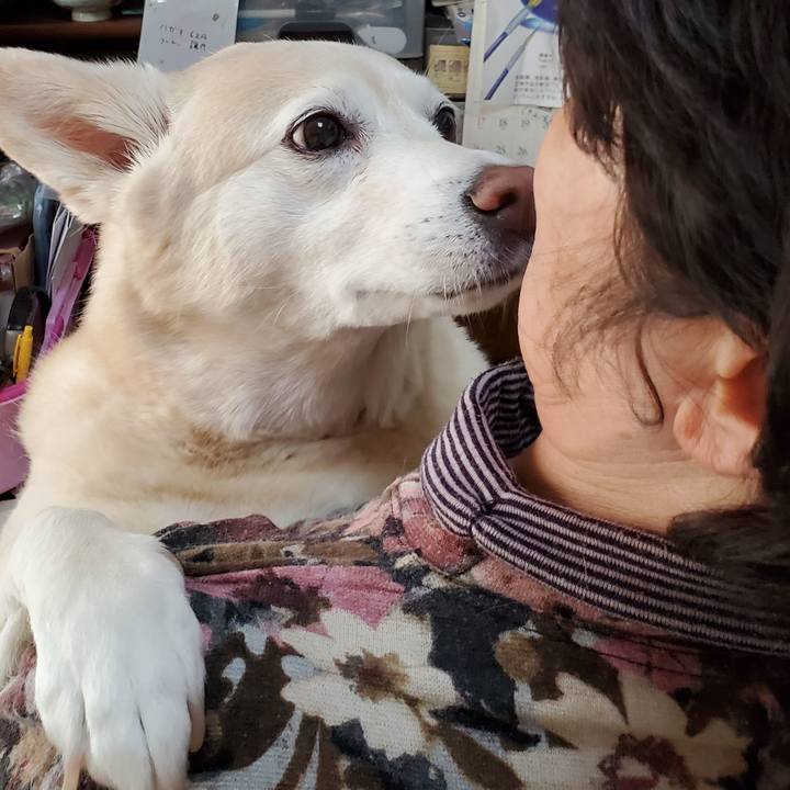 6be756ed 86a7 4167 81cd 9efbd1632240 1612338896092