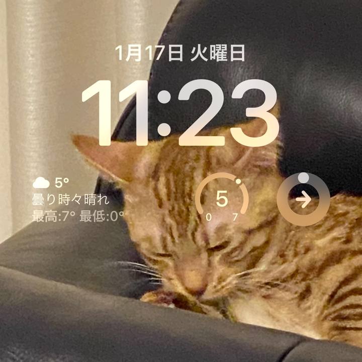 6be76e5e e1b9 43cb b341 608f9a5b63fb 1673922284869