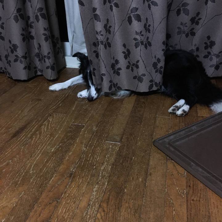 6be771d0 13ac 49a6 948f acc24364b29f 1533788919068