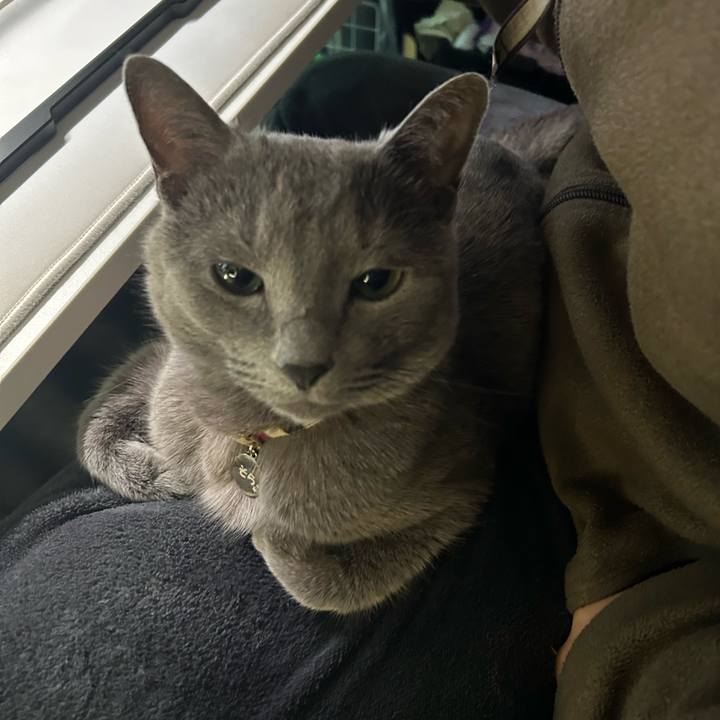 6be7900a a0d9 428c b939 9ff116553ba7 1743557444129