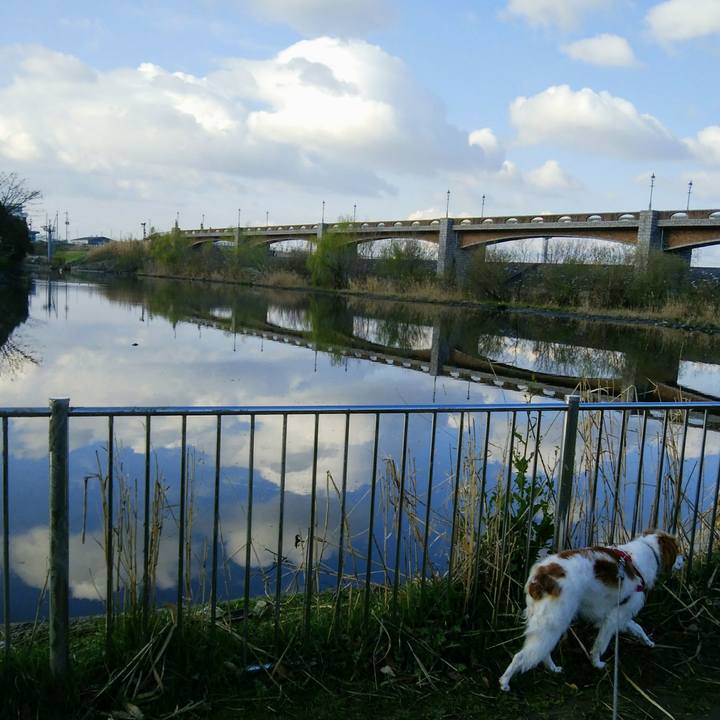 6be80b60 dda8 4144 8f3b 61f43bfcb660 1553385669704