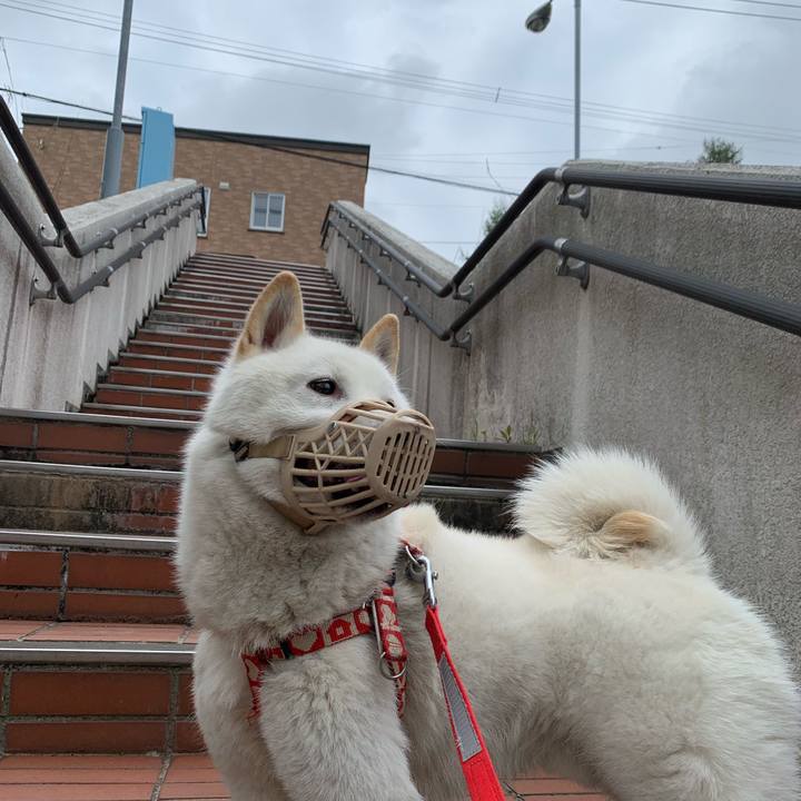 6be82642 f177 4698 93f0 8c4b013966d4 1557531752456