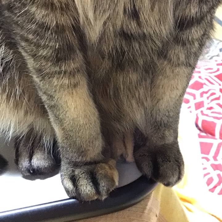 6be83b3b 73f9 461c bf36 bb162615c57b 1640384205792