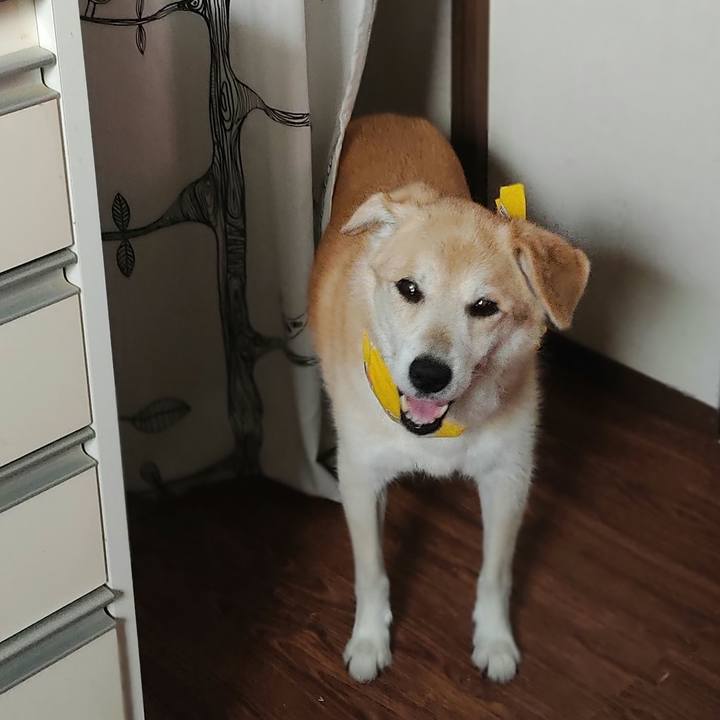 6be8b3dd 7b09 421e 9a11 29cc83e5888f 1628212186431