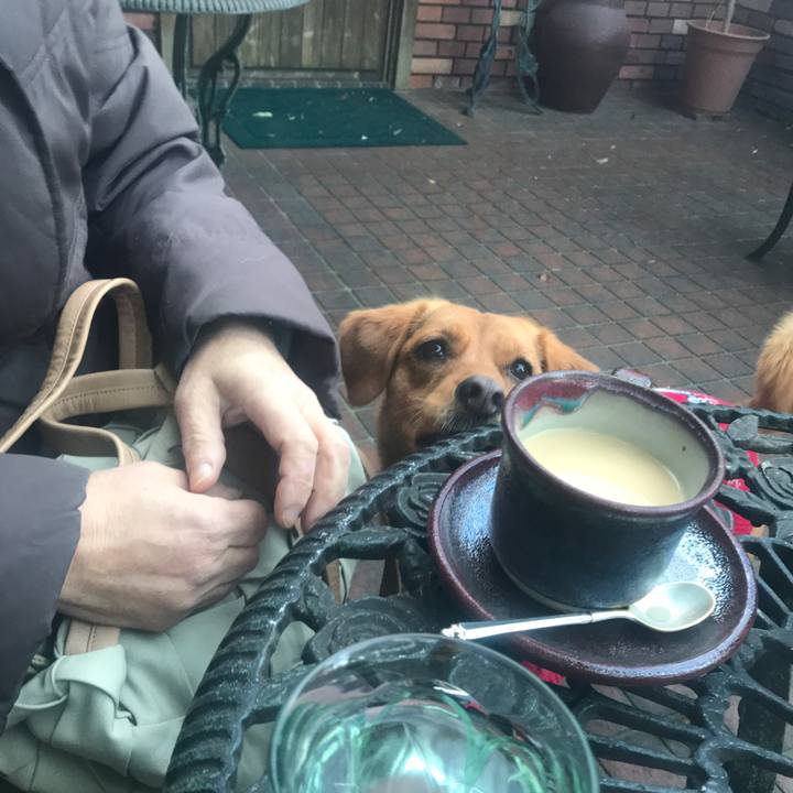 6be8d8b9 aeb6 4808 9c2d 45eab4649a72 1546583783016