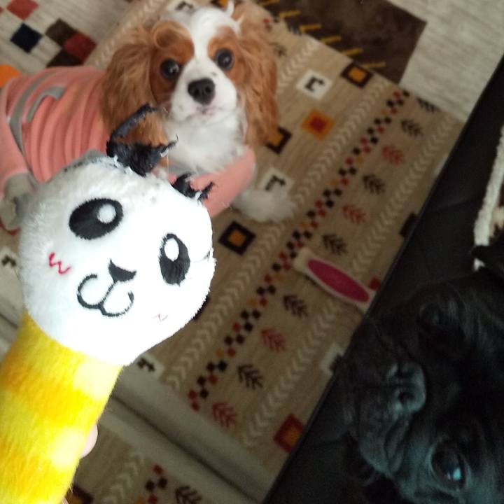 6be8e201 d77c 4f21 80e4 eada17d0ee03 1582544295547