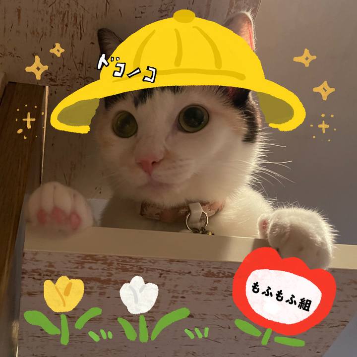 6be93a56 d25f 4060 896a 3bb85fac50c2 1712229731911