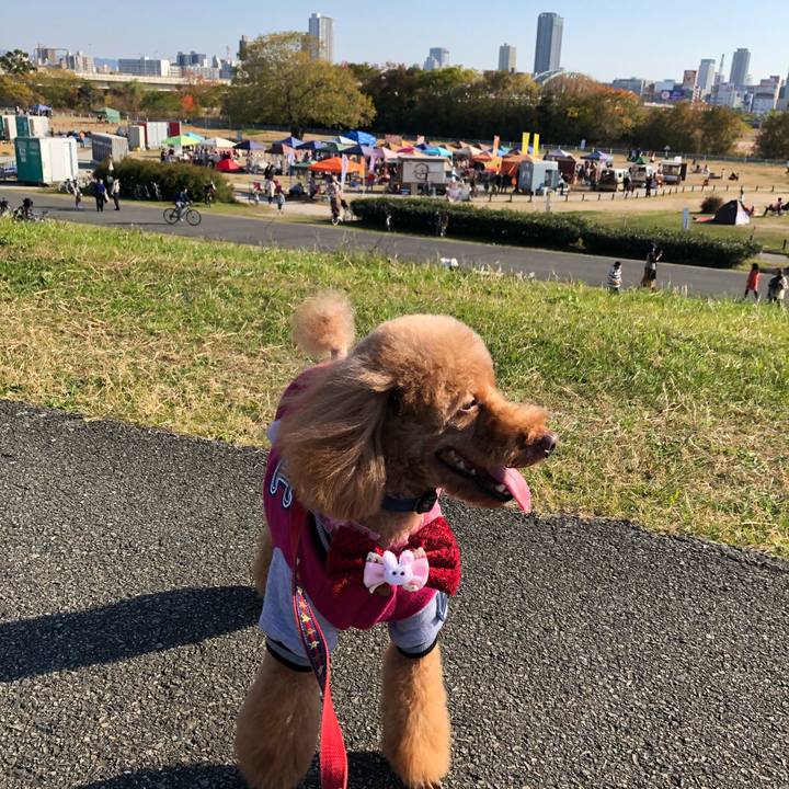 6be94b18 5051 4ef3 bff0 93584eee63b4 1575184307797