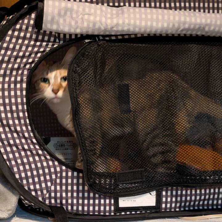 6be9570a 04bc 4b6a b826 bcbc3811d97d 1760547335611